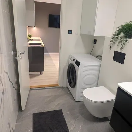 公寓 New 2 Bedrooms ! 奥斯陆